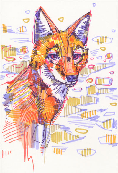 dessin d’un renard par l’artiste animalier Gwenn Seemel