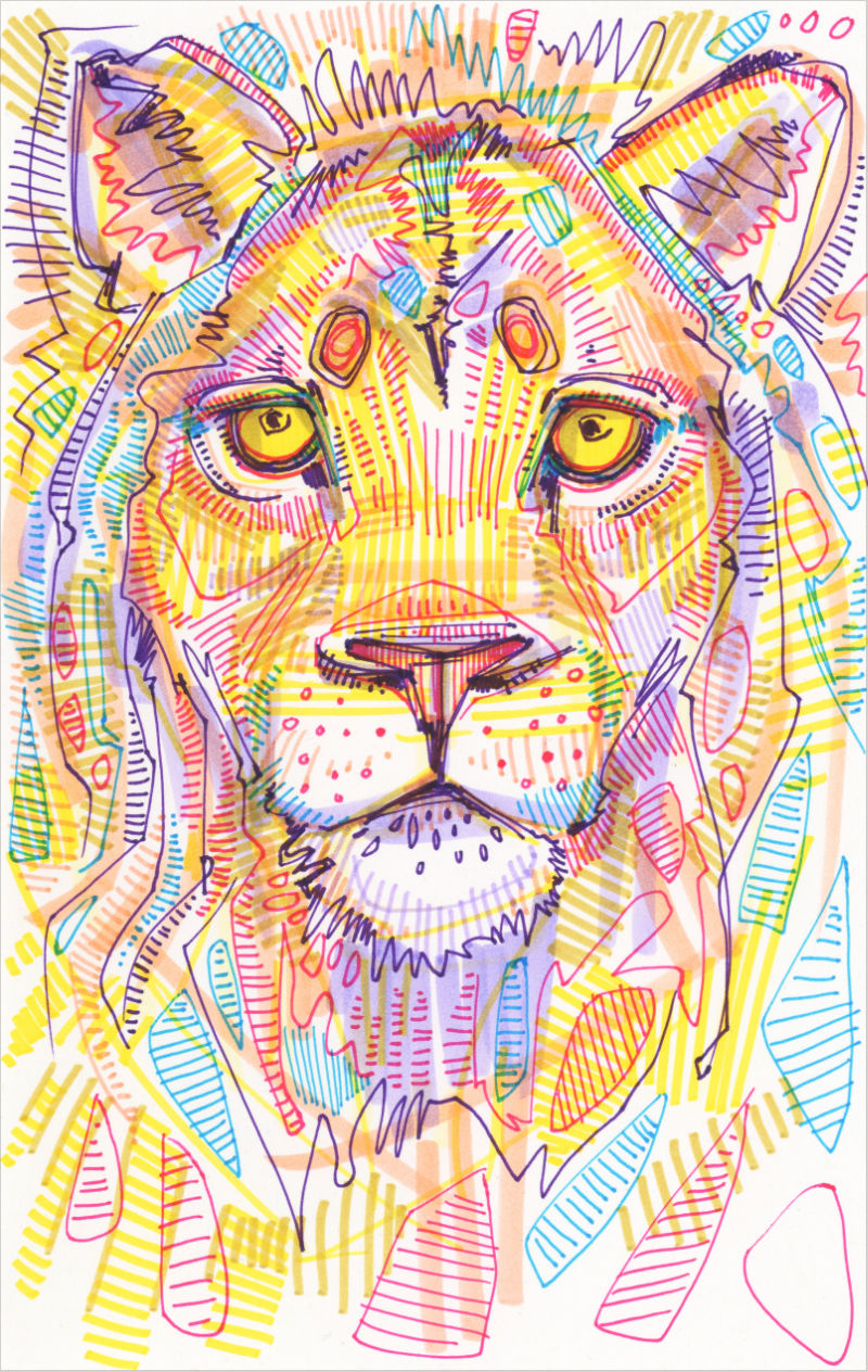 drawing of lion