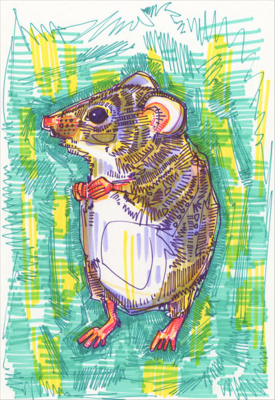 harvest mouse drawing by wildlife artist Gwenn Seeme;