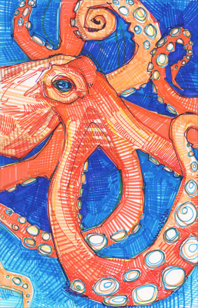 octopus illustion in marker on paper