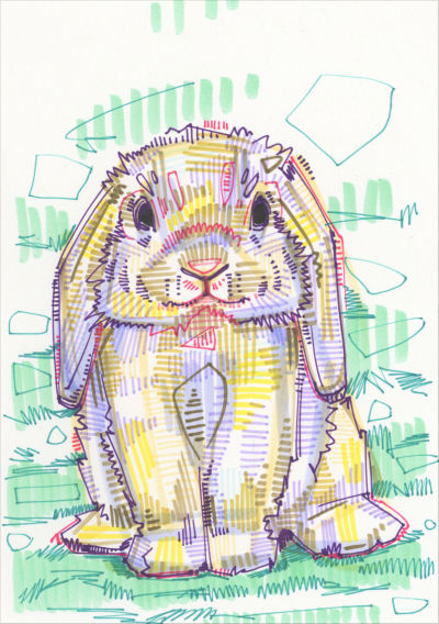 rabbit drawing in marker on paper