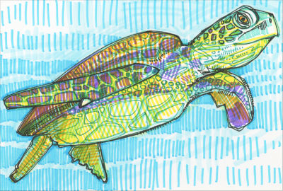 dessin en marqueur sur papier, tortue de mer