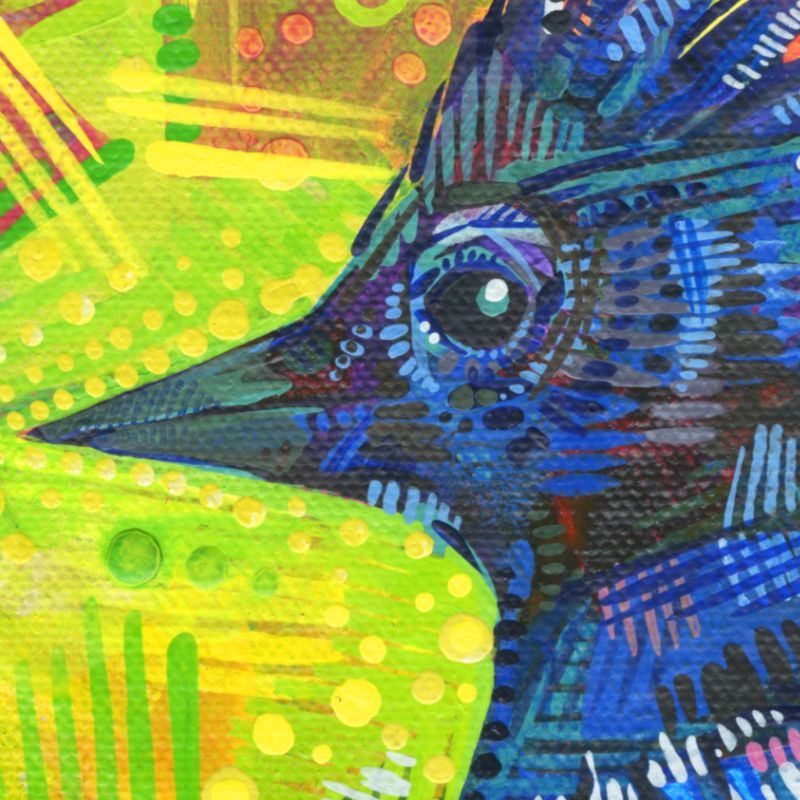 A Jay for J