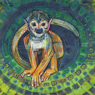 squirrel monkey artwork by wildlife painter Gwenn Seemel