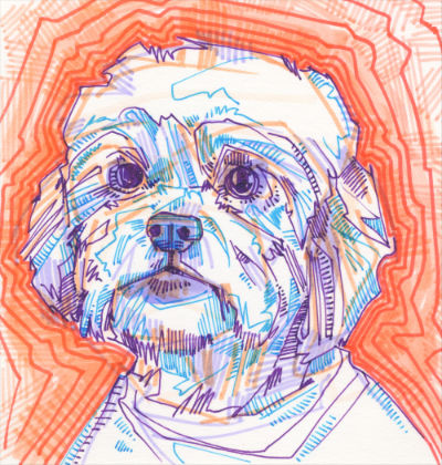 dog portrait drawing by pet artist Gwenn Seemel
