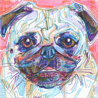 colorful pug portrait drawing