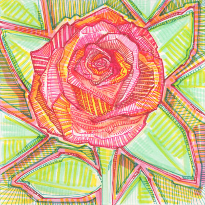 illustration of a rose by flower artist Gwenn Seemel