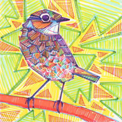 sparrow marker drawing by wildlife artist Gwenn Seemel