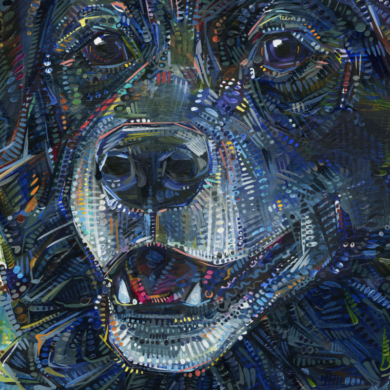 commissioned portrait of a big black dog