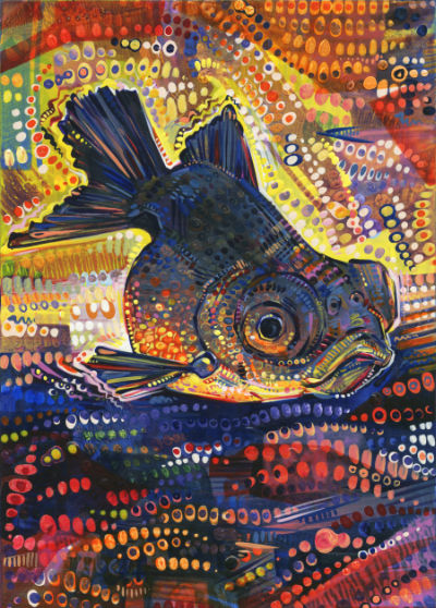 Black Telescope goldfish painting, wildlife art for sale