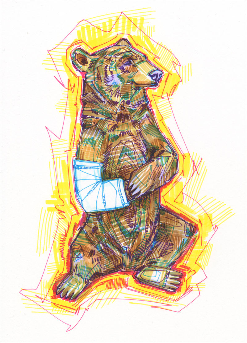 a colorful crosshatched drawing of a brown bear sitting and nursing a broken forepaw in a white cast