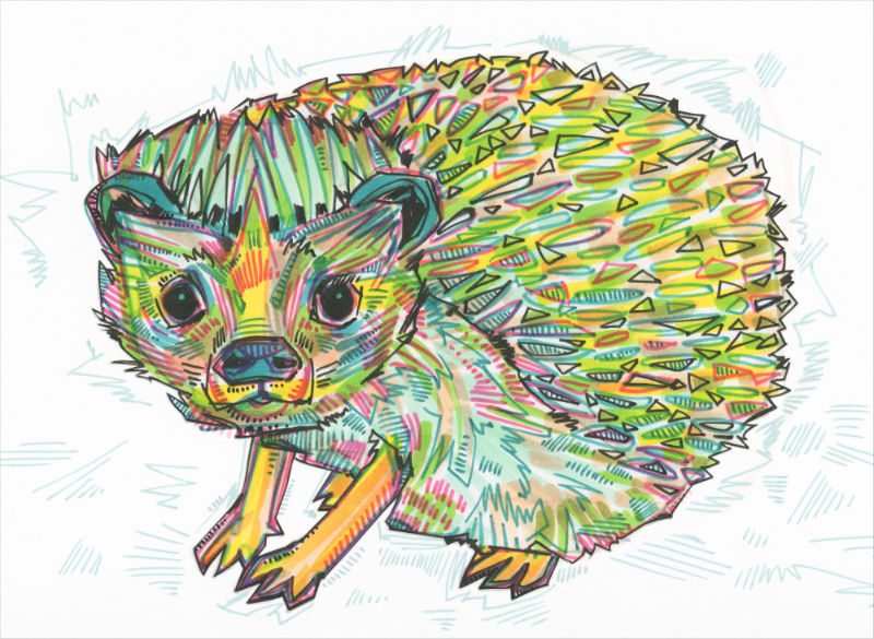 a colorful crosshatched drawing of a hedgehog