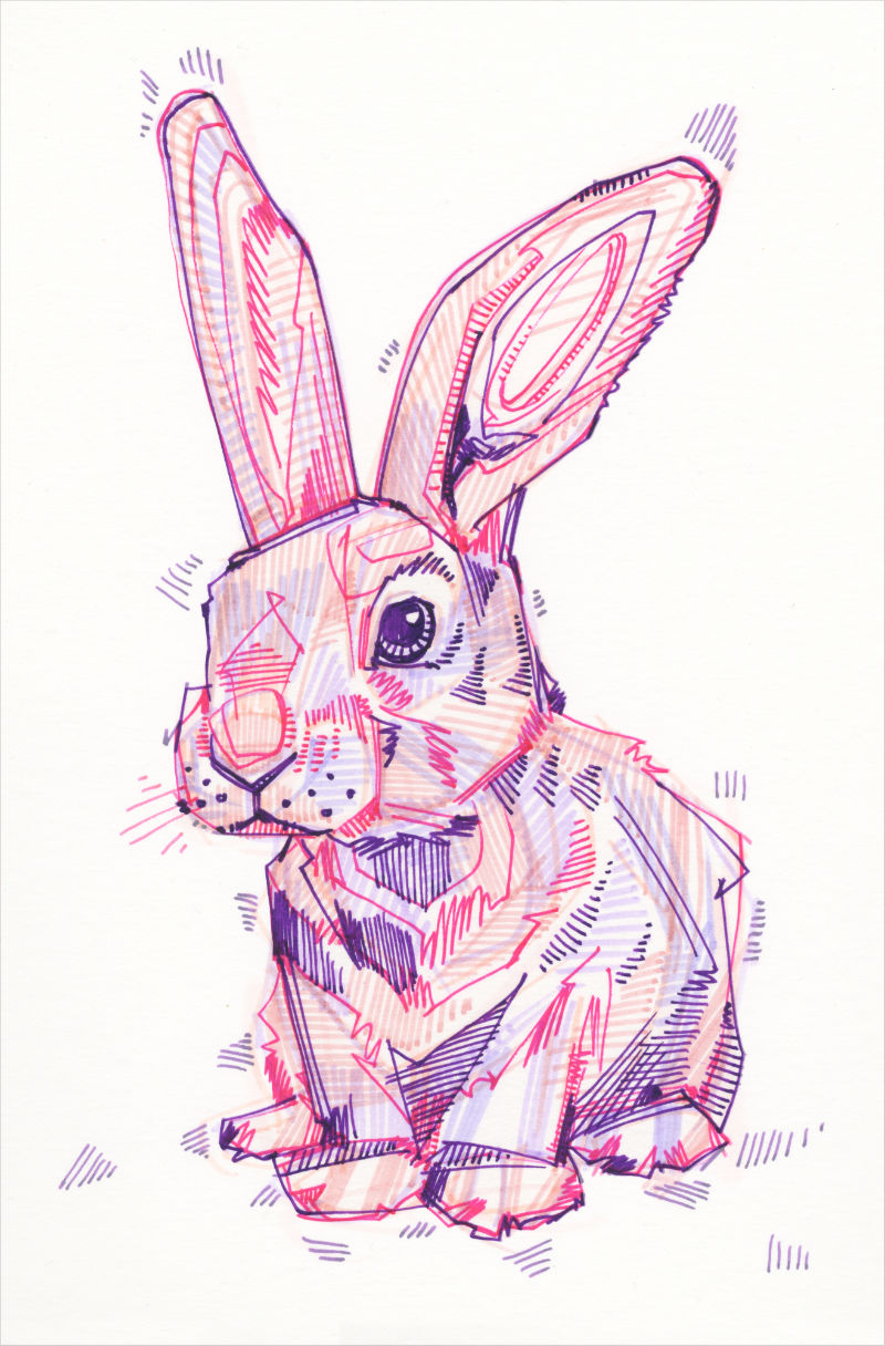 a colorful crosshatched drawing of a bunny