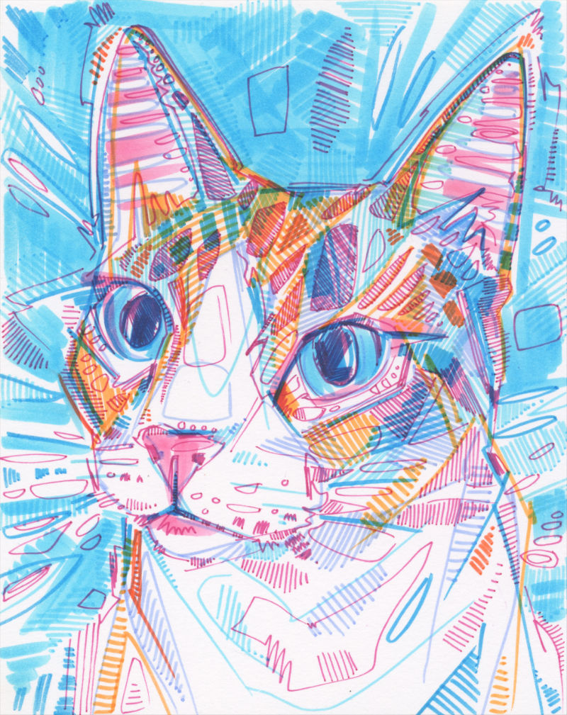 portrait dessiné en marqueur d’un chat avec beaucoup de marques et de hachures