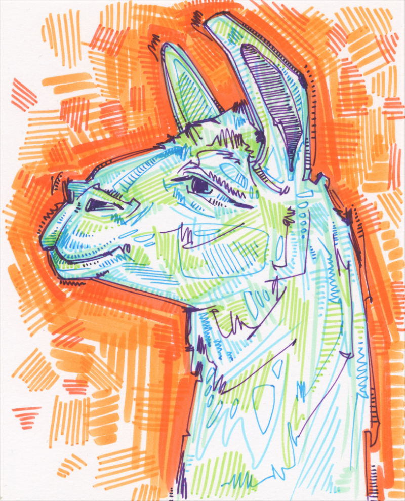 marker drawing of the profile of a llama