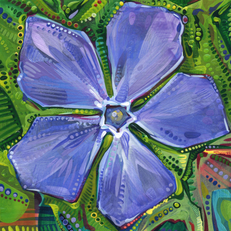 a purpley blue periwinkle flower seen from above