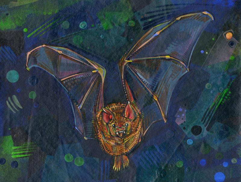 flying bat artwork, acrylic on canvas