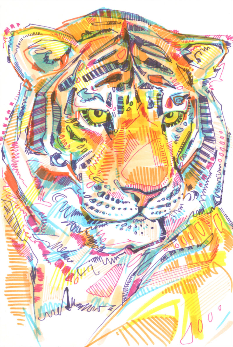 marker on paper tiger art