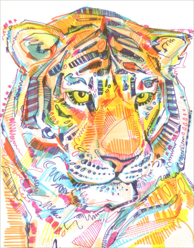 dessin d&rsquo;un tigre par Gwenn Seemel