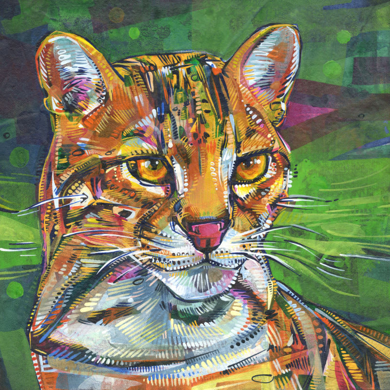 ocelot cat artwork, acrylic on canvas
