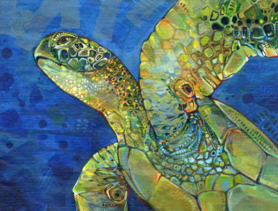 tortue de mer peinte par l’artiste écolo Gwenn Seemel