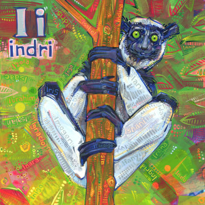 I is for indri, art pour un livre d’alphabet anglophone
