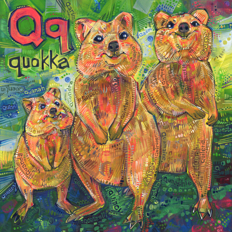 quokka, a little marsupial, wildlife art
