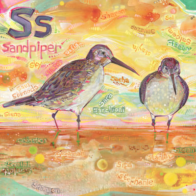 S is for sandpiper, peinture pour un livre d’alphabet anglophone