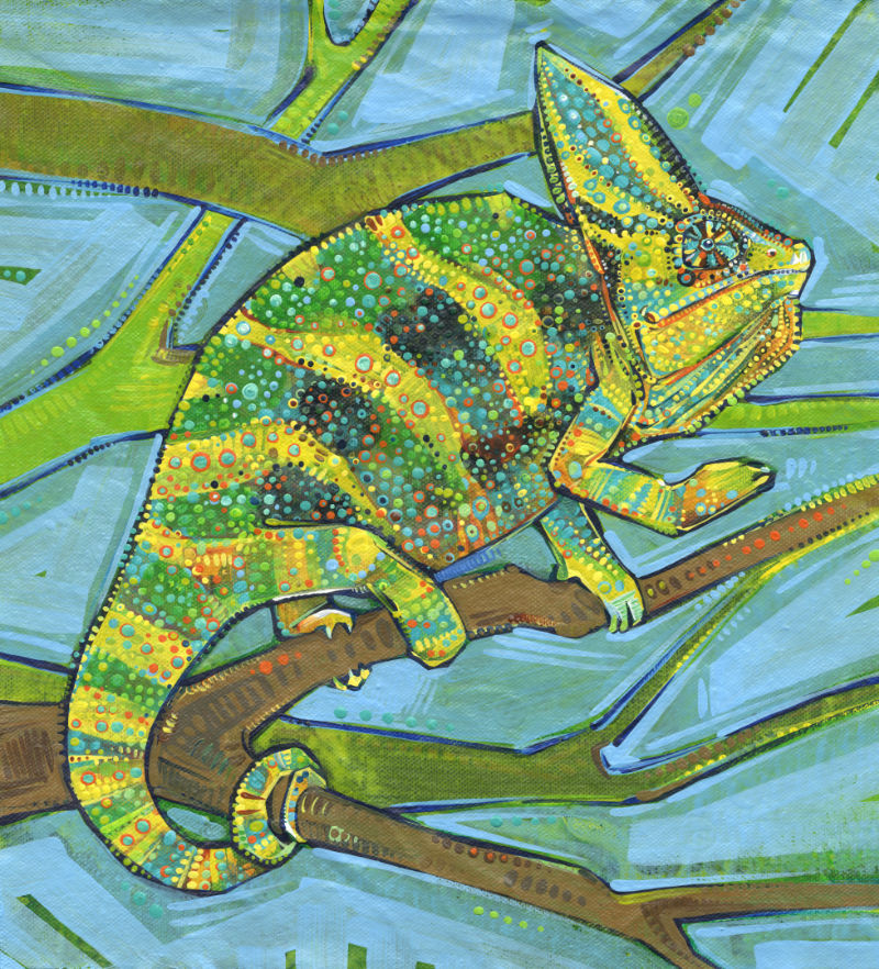 male veiled chameleon painting by Jersey artist Gwenn Seemel