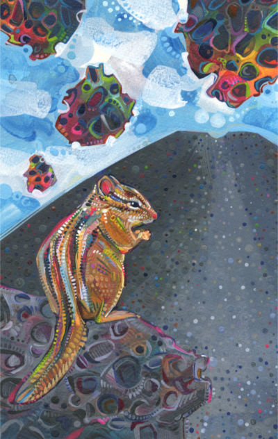 chipmunk at Craters of the Moon in Idaho, illustration by Gwenn Seemel