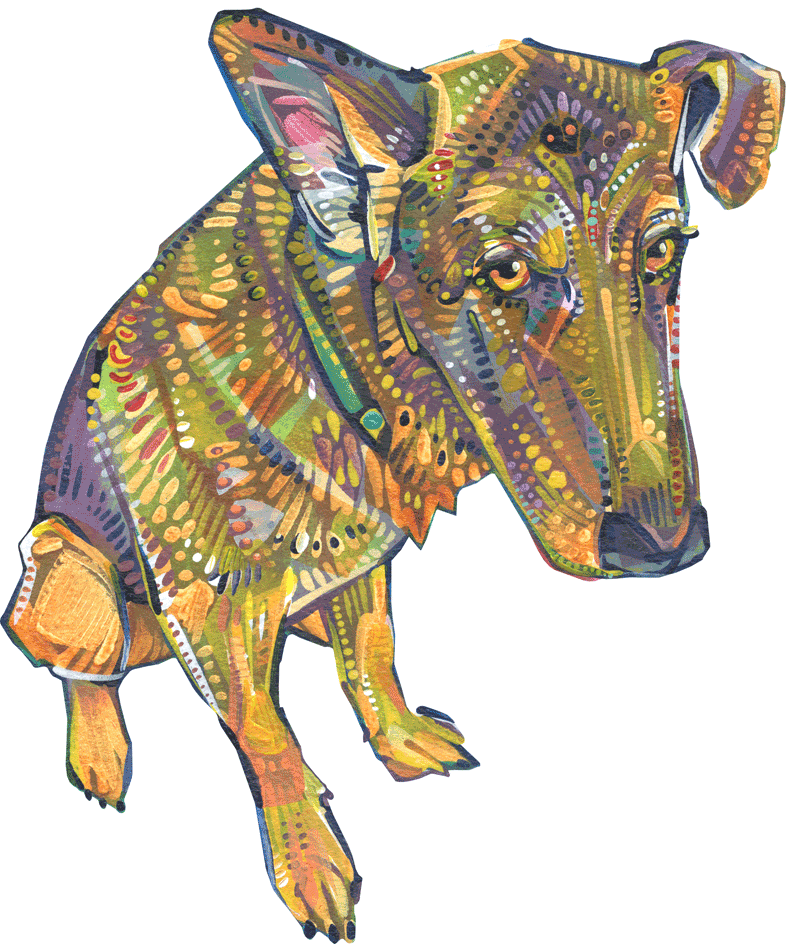 contrite-looking dog, German shepherd GIF
