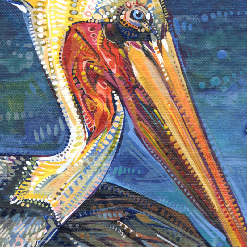 pelican painting by Gwenn Seemel