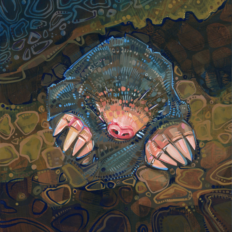 painting of a mole digging, acrylic on panel by queer artist Gwenn Seemel