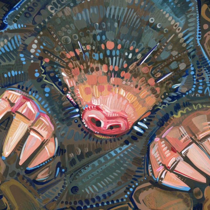 underground wildlife mole art