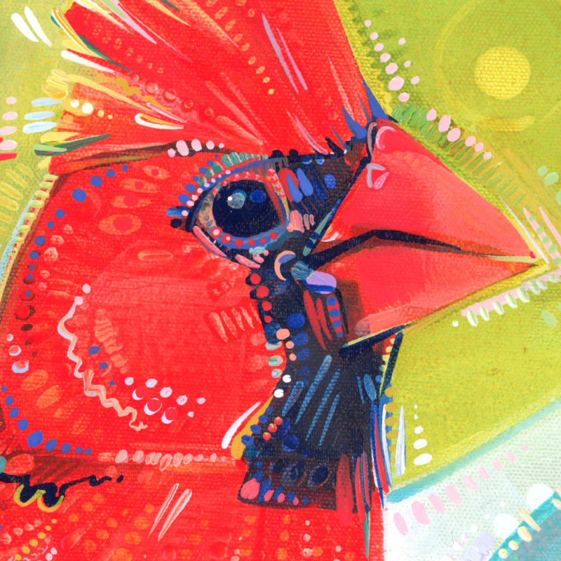 visage d’un oiseau rouge