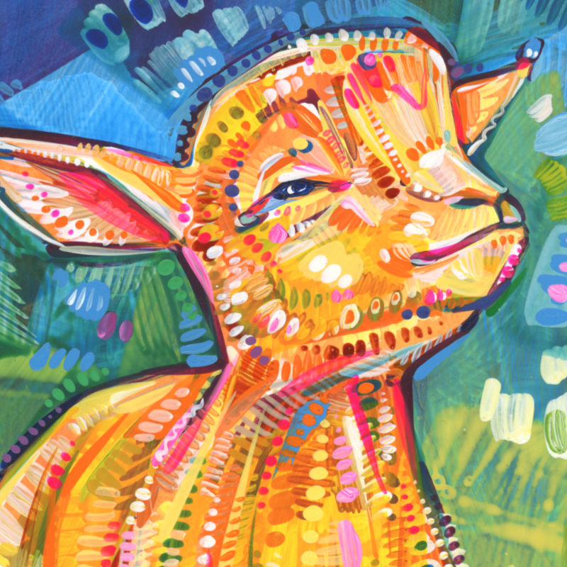 visage d’un chevreau