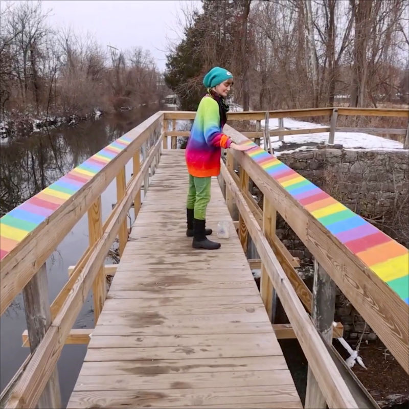 Lambertville artist Gwenn Seemel on NJ.com