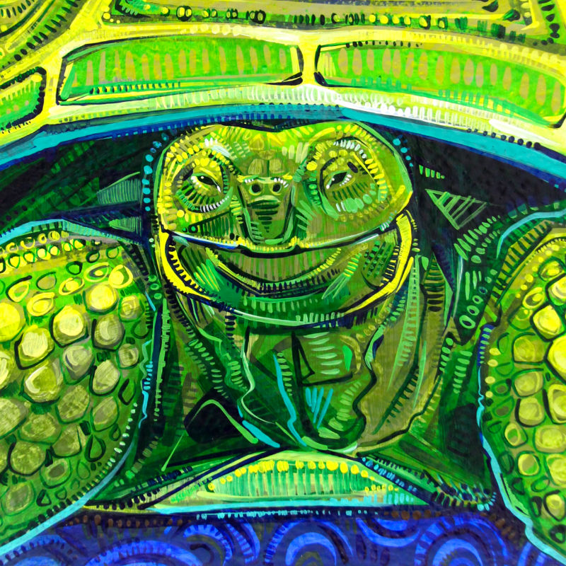 Mommy the Tortoise from the Philadelphia Zoo painted for the 52 Weeks of Firsts project by Gwenn Seemel