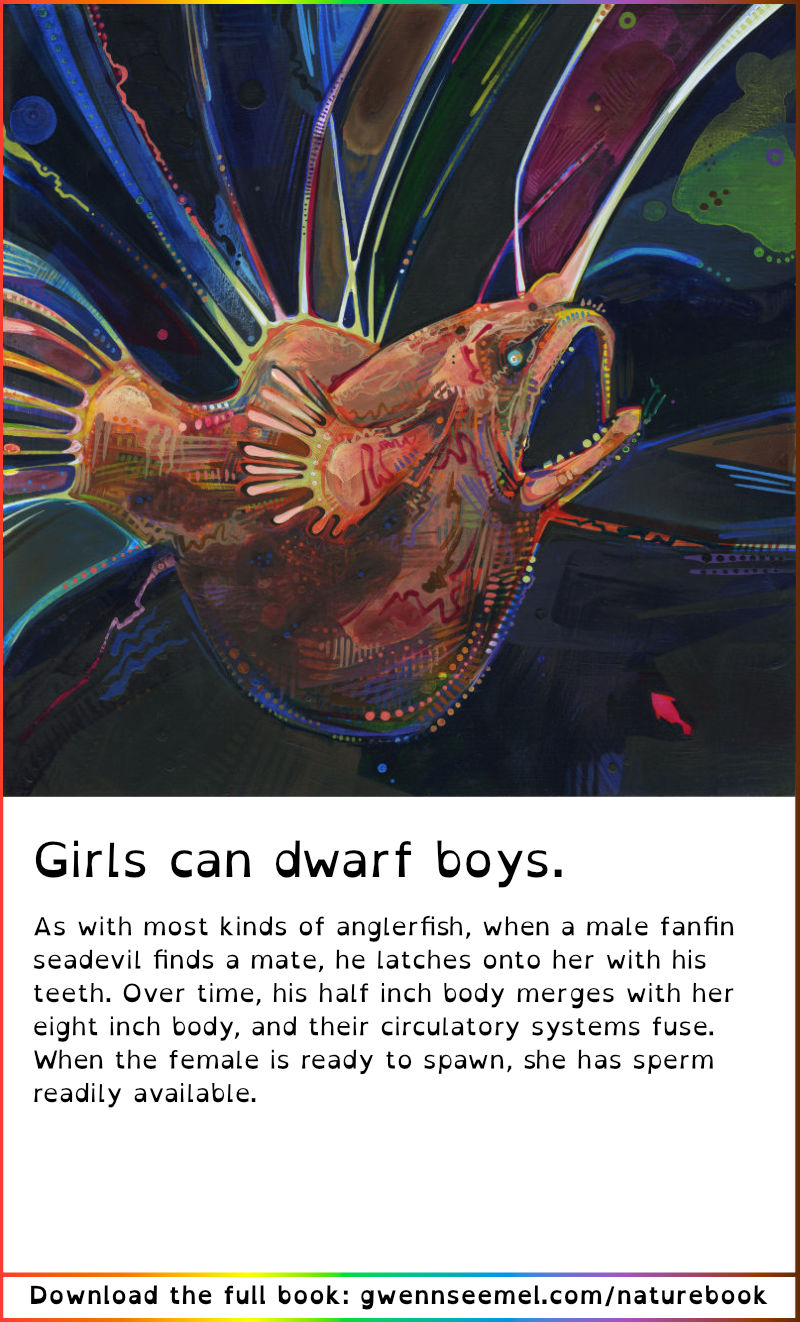 Crime Against Nature 13th Anniversary Edition fanfin seadevil description