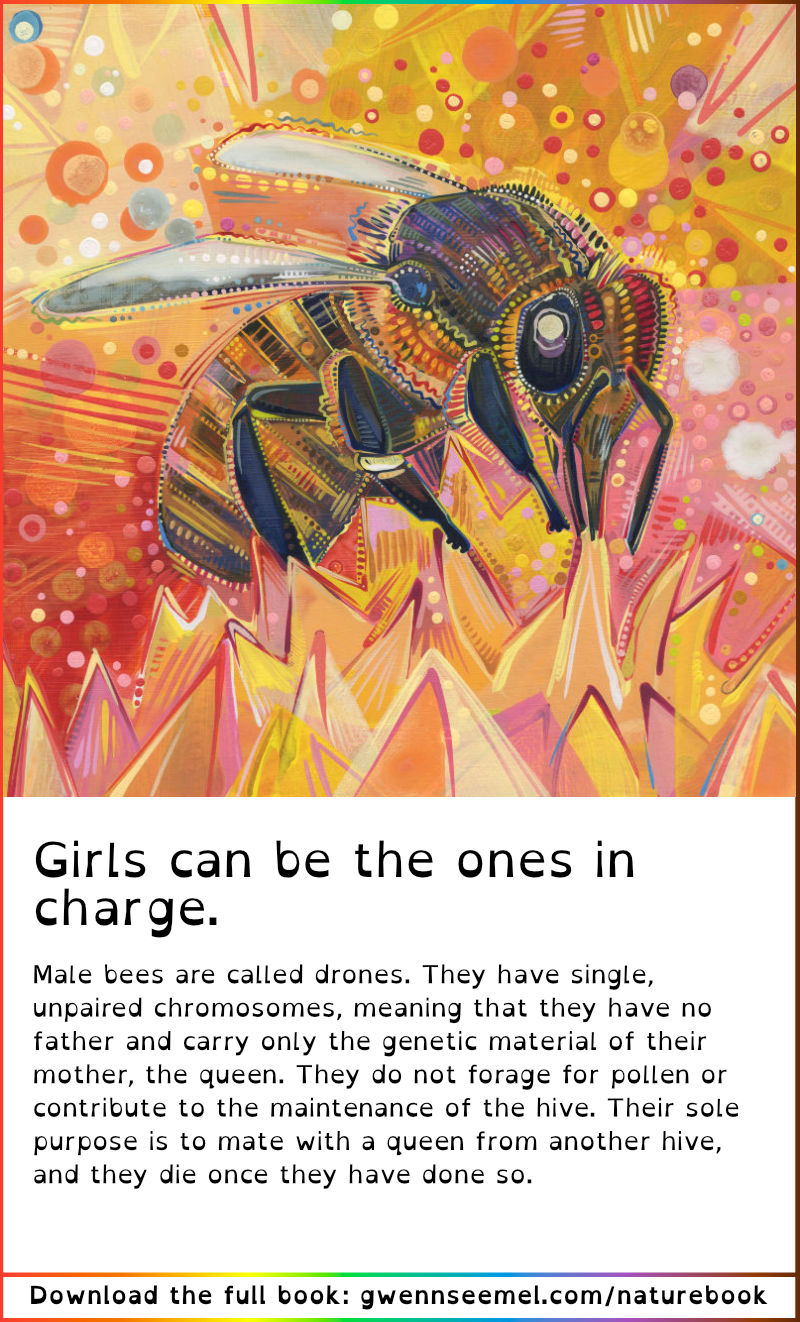 Crime Against Nature 13th Anniversary Edition western honey bee description