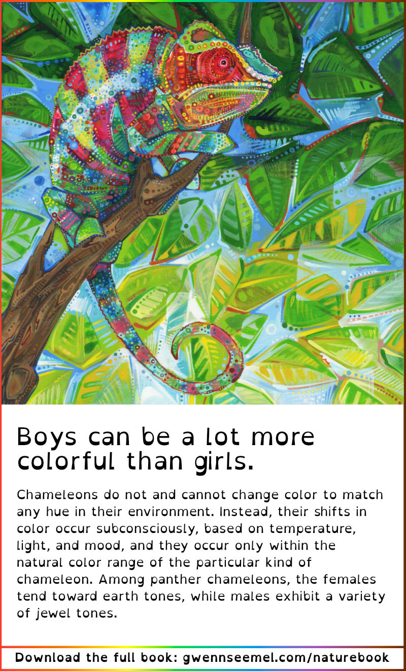 Crime Against Nature 13th Anniversary Edition panther chameleon description