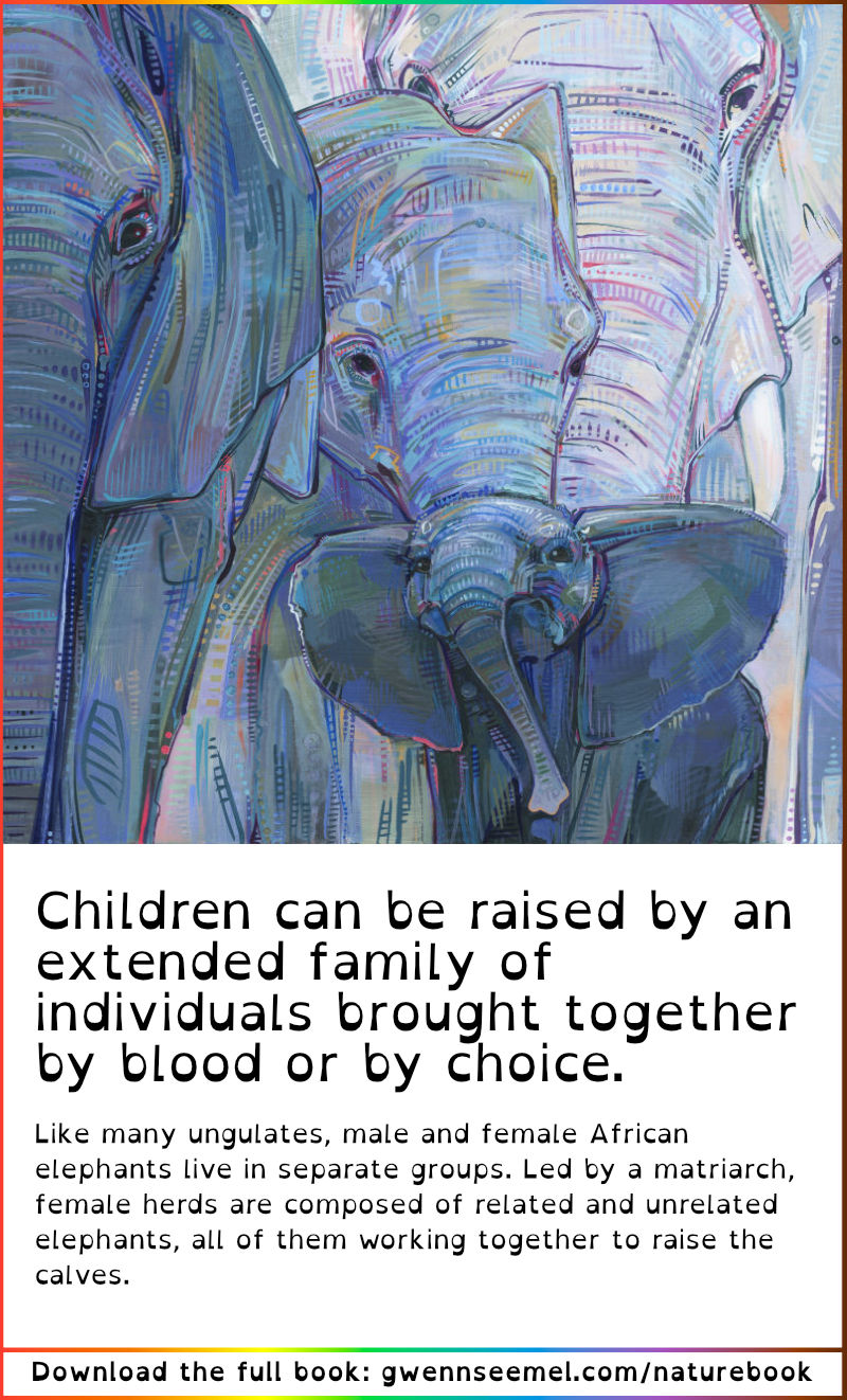 Crime Against Nature 13th Anniversary Edition African elephant description