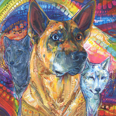 painting of a German shepherd with two-colored eyes and a pair of wolves, pet portrait commission