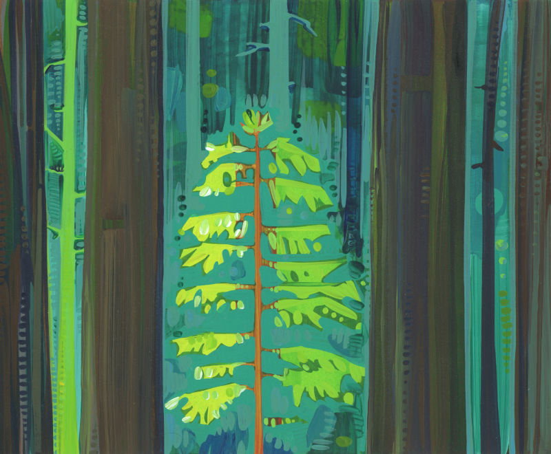 redwood tree illustration, conceptual rendering for a mural