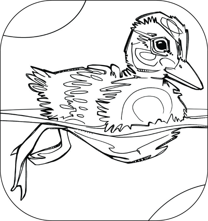 duckling swimming coloring page by artist Gwenn Seemel