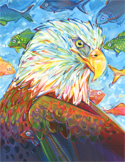 bald eagle with a rainbow of fish swimming through the sky, American Revolution Lambertville ShadFest Poster by Gwenn Seemel