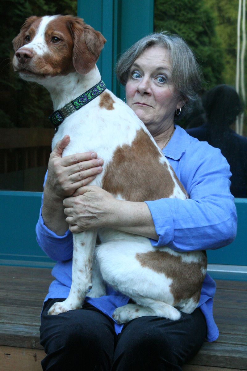 dog sitting in a woman’s lap, barking