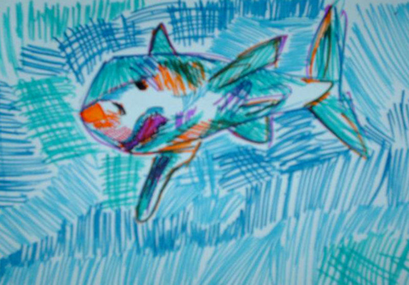 shark drawing by a kid, copy of Gwenn Seemel’s art