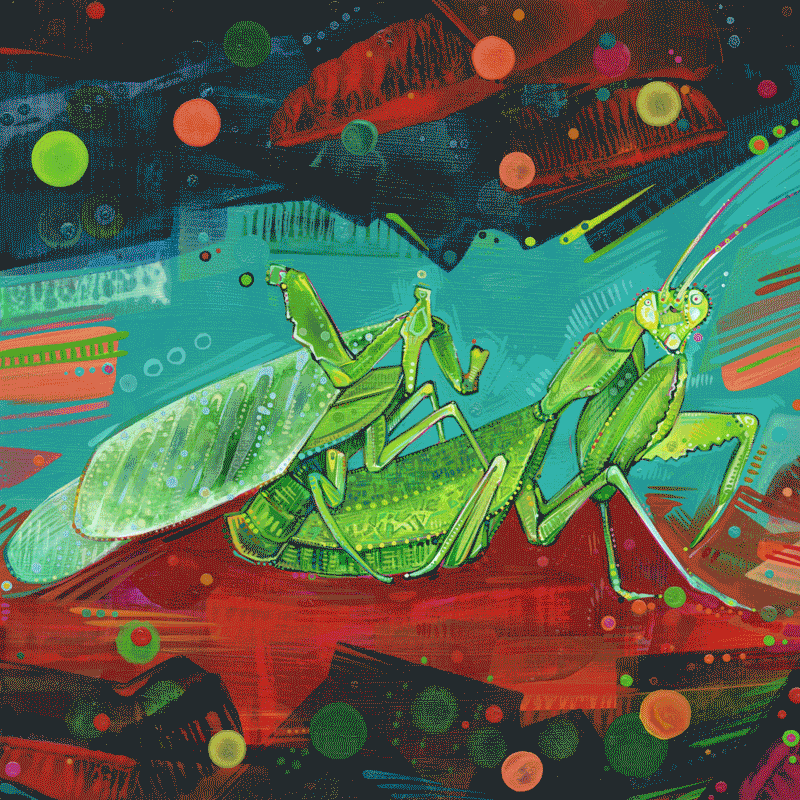 work in process, painting the praying mantis