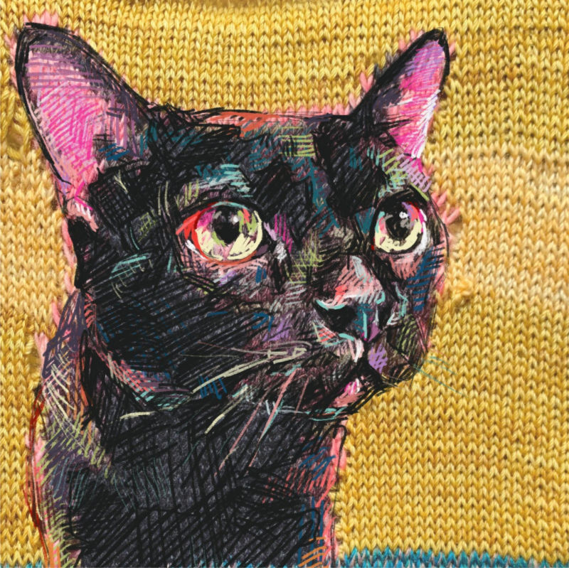 Faith Humphrey Hill’s black cat art, Dartily